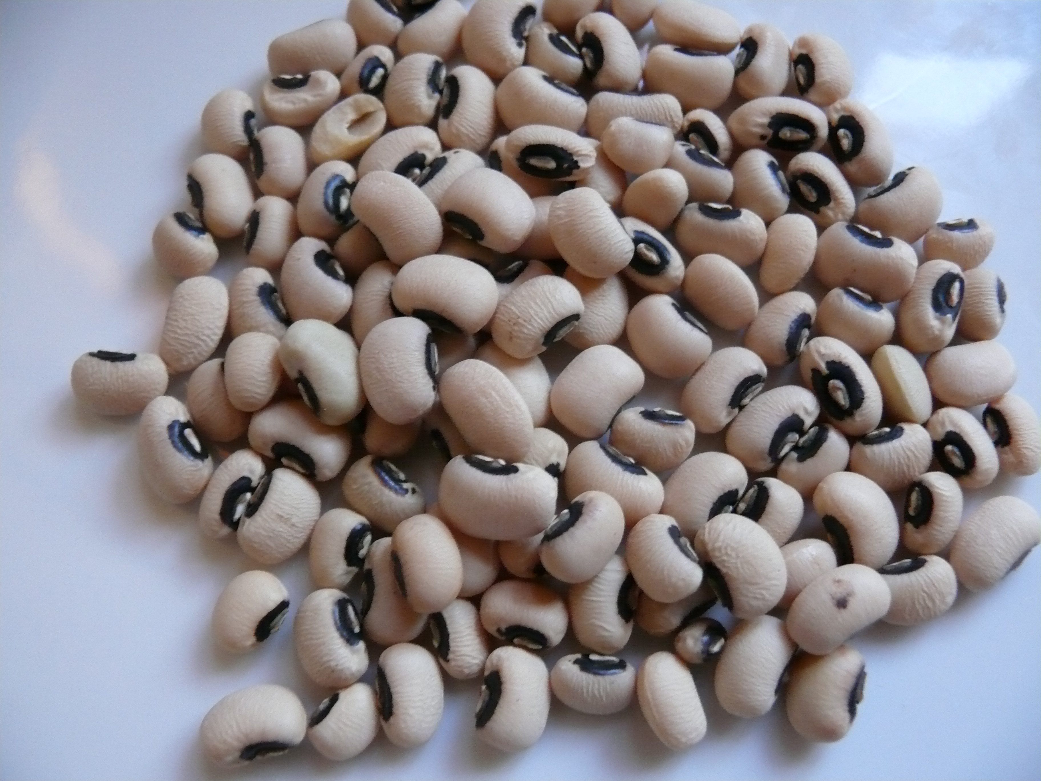 Black Eyed Peas